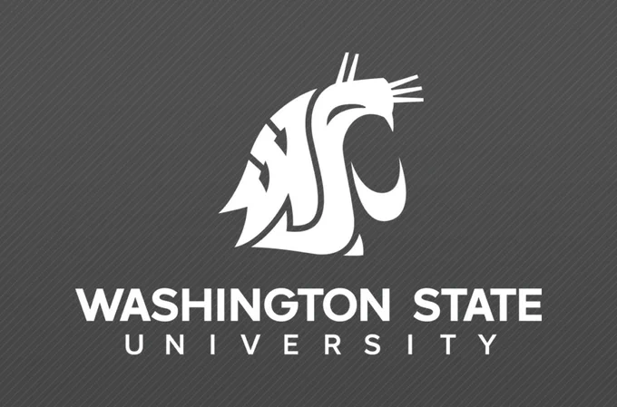 “Washington State University logo featuring the stylized cougar head formed by the letters W, S, and U in white on a dark gray, diagonally striped background, with the words ‘Washington State University’ beneath it.”