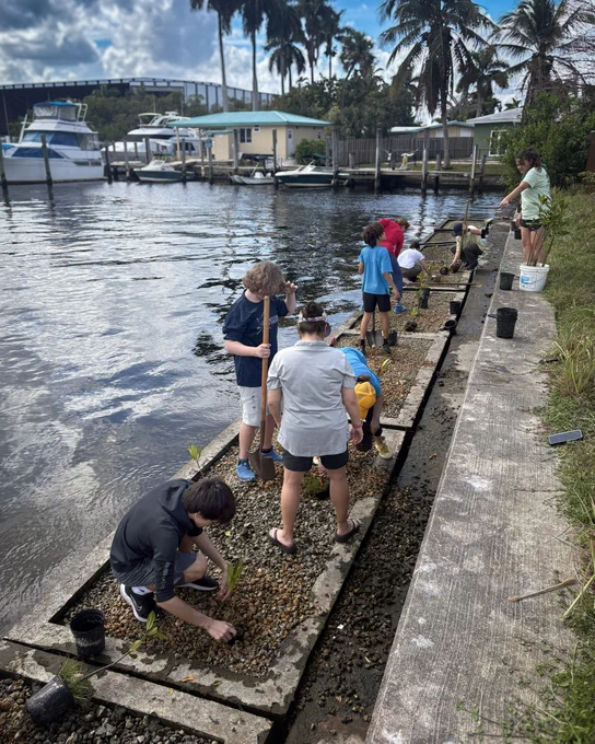 Children planting mangrove seedlings along a waterfront with boats docked nearby on a sunny day.