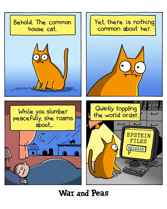 Panel 1: A text box reads, "Behold. The common house cat." Below it, an orange cat with large eyes sits calmly. Panel 2: A text box reads, "Yet, there is nothing common about her." The same cat is shown with an intense expression. Panel 3: The cat is depicted outside at night, walking on a rooftop while a person sleeps peacefully in bed. The text box reads, "While you slumber peacefully, she roams about..." Panel 4: The cat sits in front of a computer screen with a button labeled "EPSTEIN FILES RELEASE." The text box reads, "Quietly toppling the world order." The cat's paw is poised over the button.