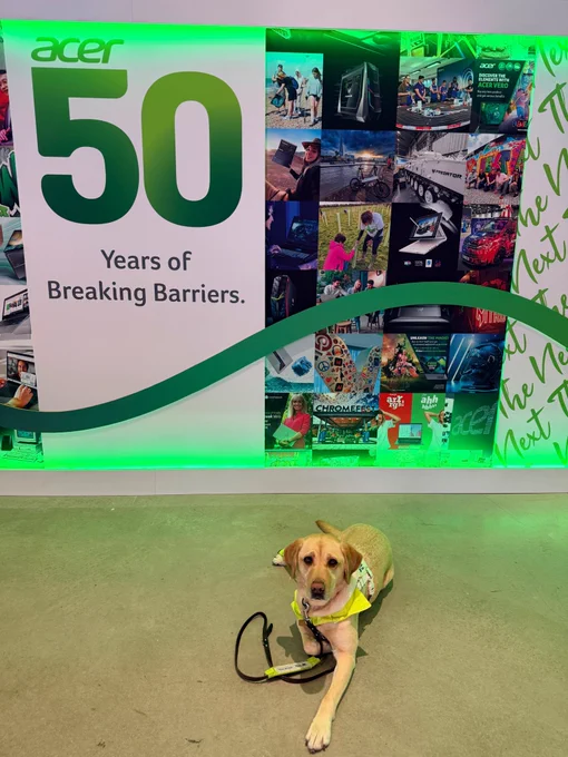 This image shows my Guide Dog Summer lying down in front of the Acer 50 year celebration poster.  