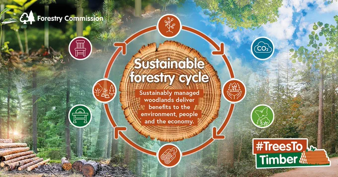 Image showing timber and forest and the words sustainable forestry cycle. Sustainably managed woodlands deliver benefits to the environment, people and the economy.