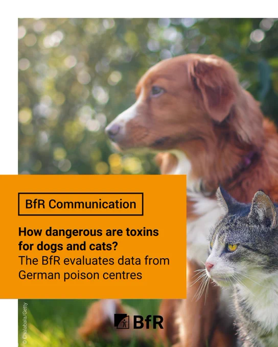 How dangerous are toxins for dogs and cats? The BfR evaluates data from German poison centres