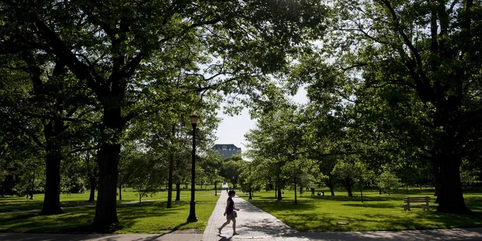 Oval, Ohio State University Campus. Trees all around with a pathway in the center and person walking towards the right. Green grass and lamp posts in the distance. Sun is peaking through the trees.