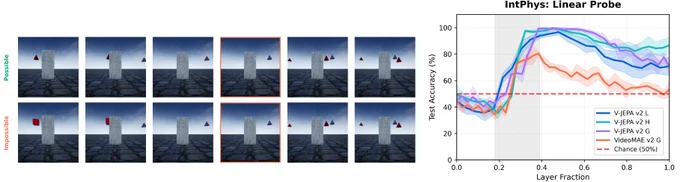 The Physics Emergence Zone emerges one-third through the net on the intuitive physics task.