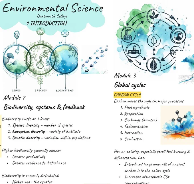 Hand-drawn visual summary of Environmental Science concepts, including interconnected Earth systems, carbon cycle diagrams, climate feedback loops, biodiversity, and human impact. 