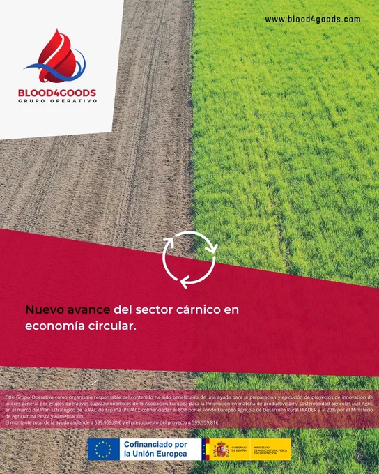 Novo avance no proxecto Blood4Goods: SueveBiotech logrou a través de sangue de matadoiro e un proceso de hidrólise e neutralización obter un hidrolizado líquido, pH neutro e 6–8% de aminoácidos libres.
Próximo paso: formular bioestimulante vexetal
Artigo en eurocarne https://www.anice.es/publicaciones/2026.02.26_BFG.pdfPróximo 