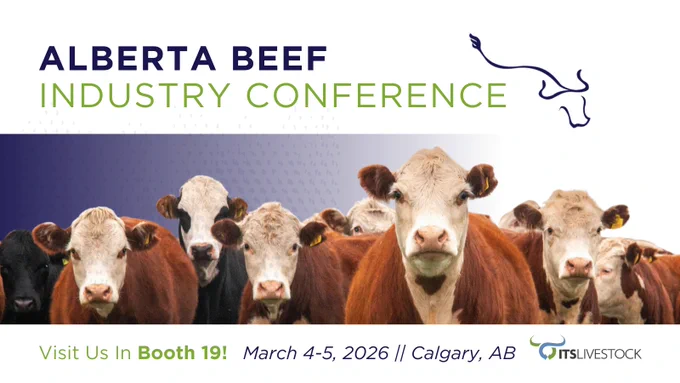 Group of beef cattle standing closely together, promoting ITS Livestock's Booth #19 at  the Alberta Beef Industry Conference in Calgary, March 4-5, 2026.