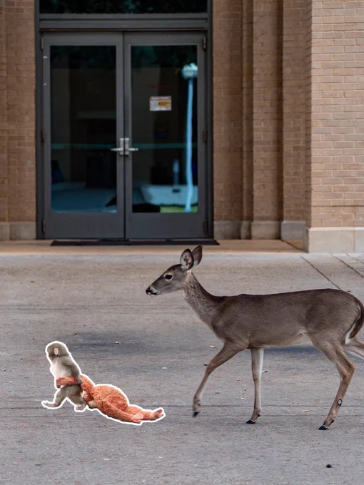 A monkey named Punch holding a stuffed animal walking with a deer.