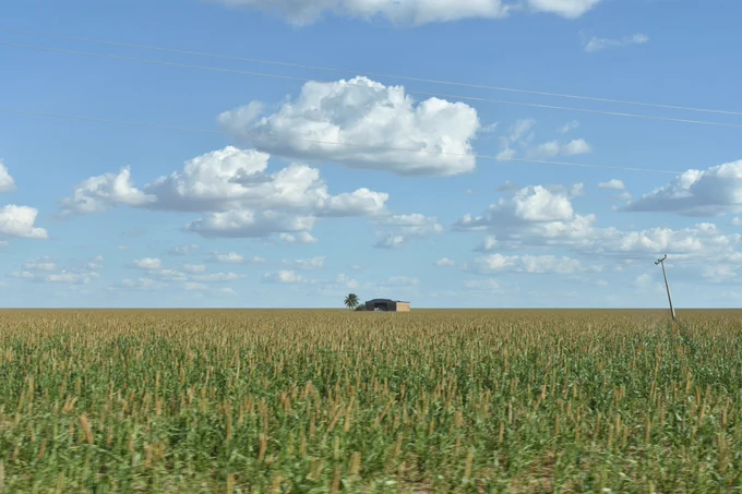 Row crop field located on converted Cerrado savannah vegetation, Bahia, Brazil.
CREDIT: Samuel A. Levy, (slevy@ra.org)
