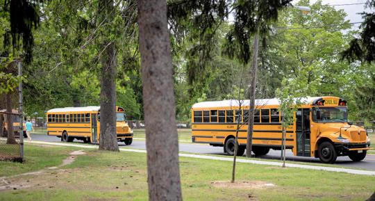 Two yellow school buses are parked on a paved road, surrounded by green trees and grass.