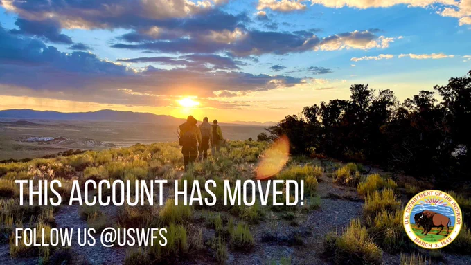 Wildland firefighters hike toward the horizon as the sun is setting.