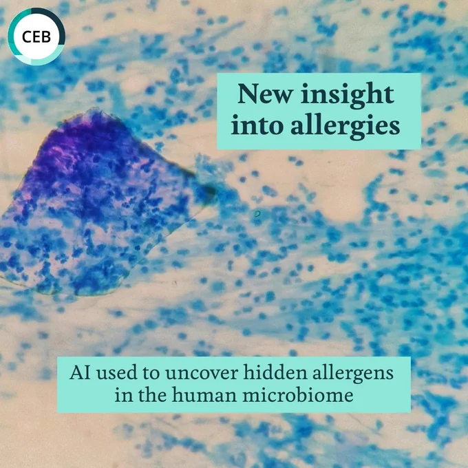 Microscopic blue-stained cells with a headline saying AI reveals hidden allergens in the human microbiome