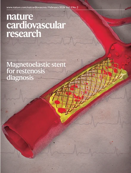 Image: Jun Chen Laboratory, University of California, Los Angeles. Cover design: Bethany Vukomanovic

Magnetoelastic stent for restenosis diagnosis
Chen et al. describe a smart stent that combines mechanical support with continuous blood-flow sensing and demonstrate its functionality in vivo for restenosis diagnosis.
