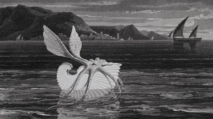 An historic black and white illustration of a paper nautilus floating on the ocean. There are boats, a city and hills in the background.