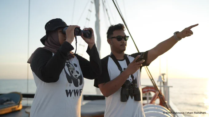 Dua staff WWF-Indonesia, seorang wanita berhijab menggunakan teropong dan seorang pria berkacamata hitam menunjuk ke arah laut, sedang melakukan pemantauan dari atas kapal saat matahari terbit/terbenam.