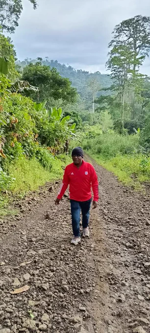 Afforestation