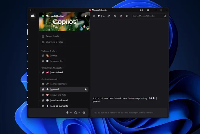 Copilot discord server locked and history hidden