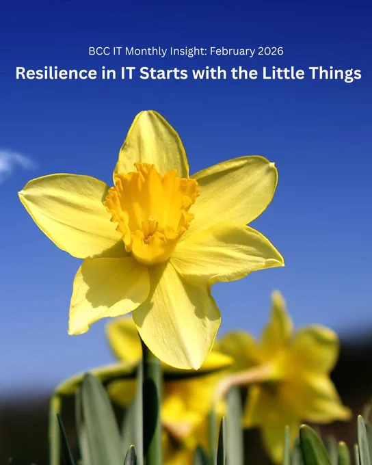 Yellow daffodil against a blue sky with the heading "Resilience in IT Starts with the Little Things." from BCC IT's February 2026 Montly Insight.