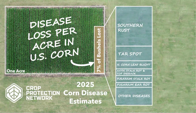 Infographic representing an acre of corn showing that 7% of corn was reduced by disease in 2025. Southern rust caused the greatest losses, followed by tar spot and several other diseases. 