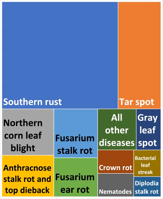 Treemap showing proportion of corn losses caused by disease. Southern rust caused the greatest losses. 