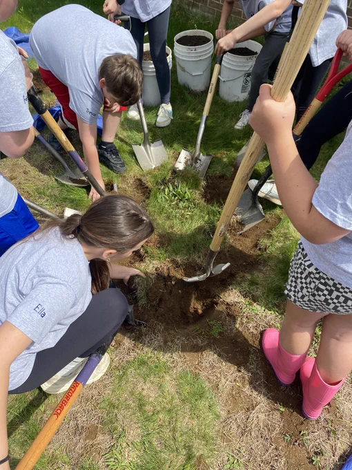 Schoolyard Canopy program - "over the shoulder" view of students planting - vertical - photo credit: N.H. Division of Forests & Lands