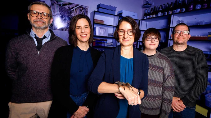 Kevin Smith, Heather Akin, Eileen Hebets,  Emma Brase, and Mike Dodd.
