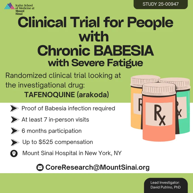 Green flyer from the Icahn School of Medicine at Mount Sinai reading "Clinical Trial for People wih Chronic BABESIA with Severe Fatigue." Lead investigator is David Putrino, PhD, and study number is 25-00947. Smaller text reads "Randomized clinical trial looking at the investigational drug TAFENOQUINE (arakoda). Proof of babesia infection required, At least 7 in-person visits, 6 months participation, Up to $525 compensation, Mount Sinai Hospital in New York, NY." At the bottom of the flyer is contact information: CoreResearch@MountSinai.org