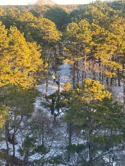 An aerial view of a snow-covered forest with tall evergreen trees. A lineworker in a bright safety jacket climbs a utility pole to make repairs.