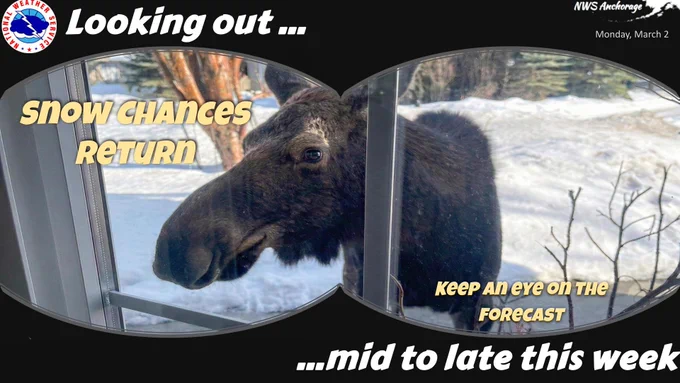 A weather forecast graphic designed to look like a view through binoculars. Inside the binocular frames, a large, dark brown moose is seen peeking through a window into a home. The background shows a snowy yard and residential trees. Text over the moose says "SNOW CHANCES RETURN" and "KEEP AN EYE ON THE FORECAST." The black outer frame features the National Weather Service Anchorage logo and the text "Looking out..." at the top, and "...mid to late this week" at the bottom.