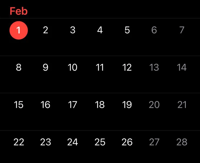 The image shows a dark-mode calendar view for the month of February. The layout is perfectly 7×4, with seven days across and four clean rows down, forming a neat 28-day grid.