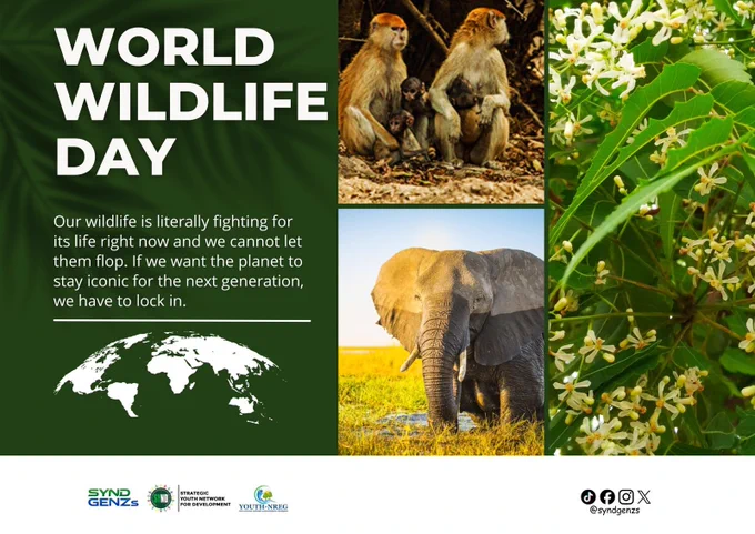 World Wildlife Day celebration