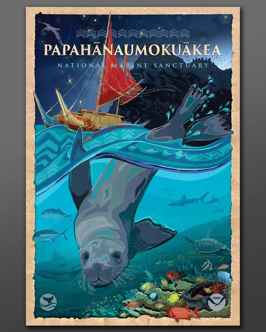 Illustration showing a Hawaiian monk seal swimming above a coral reef, with fish, sharks, and green turtles. A traditional Polynesian sailing canoe sails at the surface, with an island in the background and a starry night to guide their way. Underwater, shipwrecks and artifacts can also be found. 