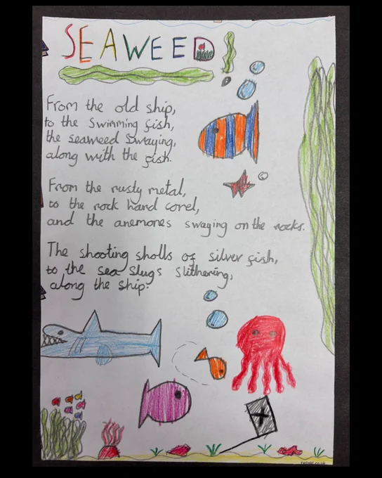 On a white piece of paper, a student has written a poem. The title "Seaweed" is written in rainbow colours. The illustrations include an orange and blue striped fish, a red octopus and a shark with pointy teeth. 
The poem reads:

From the old ship, 
to the swimming fish, 
to the seaweed swaying 
along with the fish. 

From the rusty metal, 
to the rock hard coral
and the anemones swaying on the rocks.

The shooting shoals of silver fish
to the sea slugs slithering
along the ship.