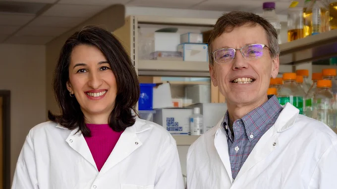Purdue University researchers Dr. Raluca Ostafe and Dr. Harm HogenEsch have developed a vaccine that induces a robust and long-lasting immune response and infertility in female mammals to address animal overpopulation. The patent-pending vaccine reduced fertility 59% to 67% in various experimental groups.