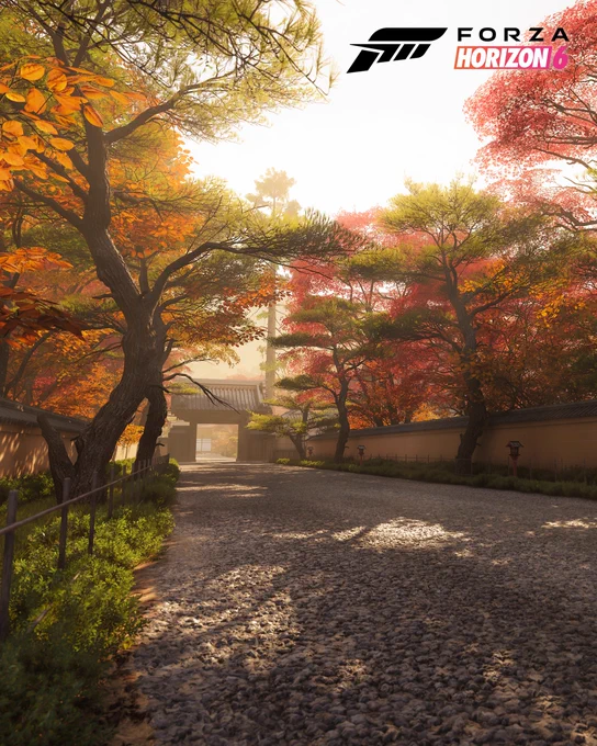 A promotional image for Forza Horizon 6 featuring a tree-lined, gravel path leading to a temple. The trees display Autumn colors with vibrant red and orange foliage, and soft sunlight filtering through the branches.