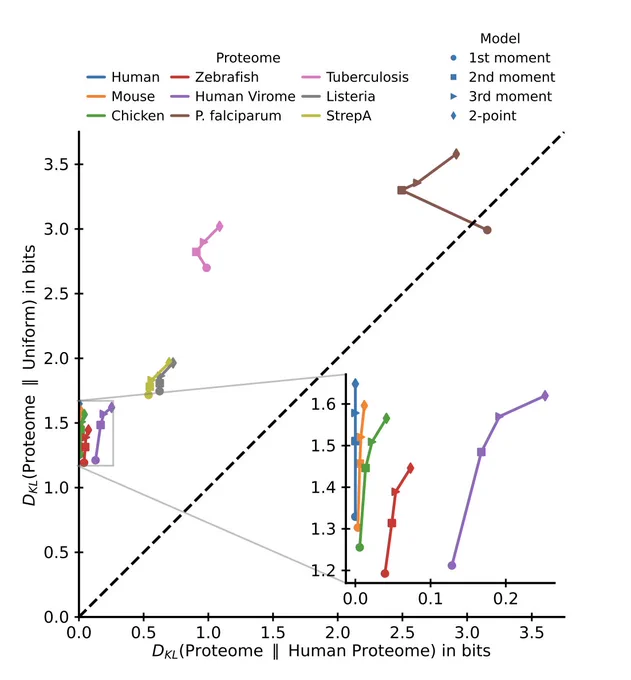 A plot depicts the divergence between peptides from different proteomes. The x-axis shows the Kullback-Leibler divergences between peptide distributions of different pathogen proteomes relative to human host peptides, and the y-axis shows the same divergences relative to uniform distribution peptides. Various colors of curved and angled lines represent human, mouse, chicken, zebrafish, human virome, P. falciparum, tuberculosis, listeria, and StrepA proteomes. The lines connect a first moment (amino acid frequencies), second moment (frequency covariance), and third moment (a third-order correlation measure), as well as a two-point (distance-specific pairwise covariation) — depicted with a circle, square, triangle, and diamond shape, respectively. A cluster of proteomes on the left side of the plot is magnified with an inset to show small differences between them.