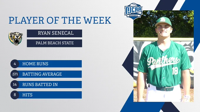 "Player of the Week graphic with Ryan Senecal’s baseball stats and photo in a green Panthers jersey."