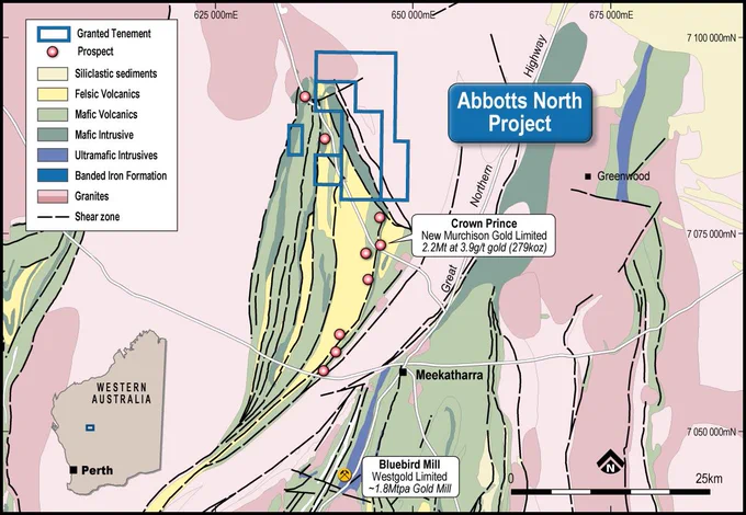 ASX: PLC | High-Resolution Ground Gravity Survey Commences at Rochefort Gold Prospect, Abbotts North Project