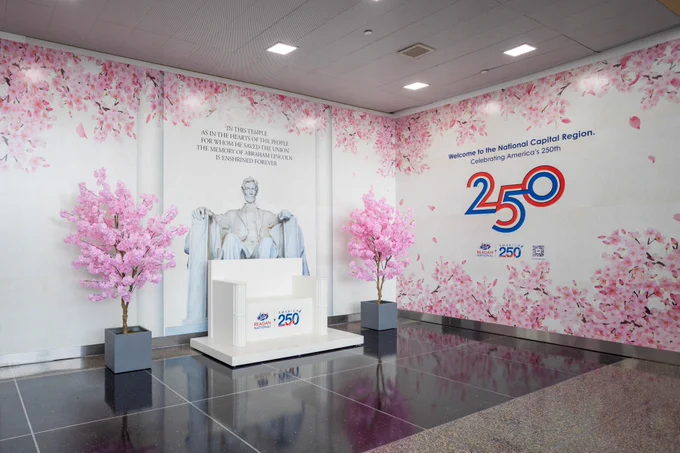 A display at Reagan National Airport features a backdrop with the Lincoln Memorial statue, surrounded by a mural of pink cherry blossoms. Two real cherry blossom trees in planters stand on either side of a large chair on a white platform with the logo "250" celebrating America's 250th anniversary. A wall on the right reads, "Welcome to the National Capital Region.
