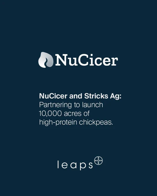 NuCicer and Stricks Ag partnering to launch 10,000 acres of high-protein chickpeas. The logos for NuCicer and Bayer's leaps are also shown.