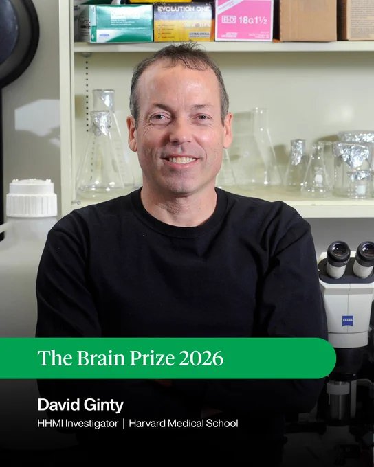 The Brain Prize 2026
David Ginty
HHMI Investigator
Harvard Medical School
