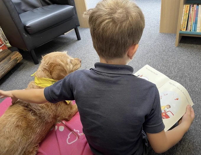 Cilla the dog with colleagues and sitting with patients