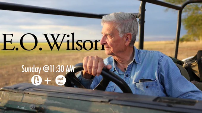 An individual wearing a denim shirt sits in a vehicle, gazing at the landscape. The text "E.O. Wilson" and "Sunday @11:30 AM" is displayed on the image. Logos for PBS and APT are shown. The background features an open, grassy field under a cloudy sky.