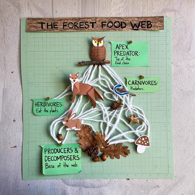 Create an image from the following text, expanding the description with more details first, if needed: A square-format infographic arranged as a physical flat-lay on a light green cutting mat board. Materials include folded paper origami animals, real dried leaves, acorns, and thick white yarn acting as connection lines. Text is scrawled in green marker on small, round manila shipping tags attached to the board with shiny brass brads. Bottom level: Real dried oak leaves, a pinecone, and a paper-cut mushroom. A handwritten tag reads "PRODUCERS & DECOMPOSERS: Base of the web." Middle level (Primary Consumers): An origami paper rabbit and a small wooden carved mouse. Pieces of white yarn connect them to the leaves and acorns below. Handwritten tag: "HERBIVORES: Eat the plants." Upper level (Secondary Consumers): A folded paper fox and a felt snake. Yarn connects the fox to the rabbit, and the snake to the mouse. Hand-lettered tag: "CARNIVORES: Predators." Top level (Apex Predator): A deta