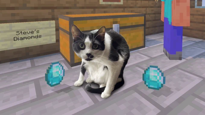 image of a real-life cat looking guilty with a couple of in-game diamonds around them.