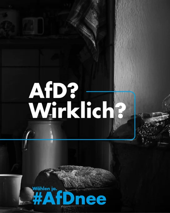 AfD?
Wirklich?

#AfDnee