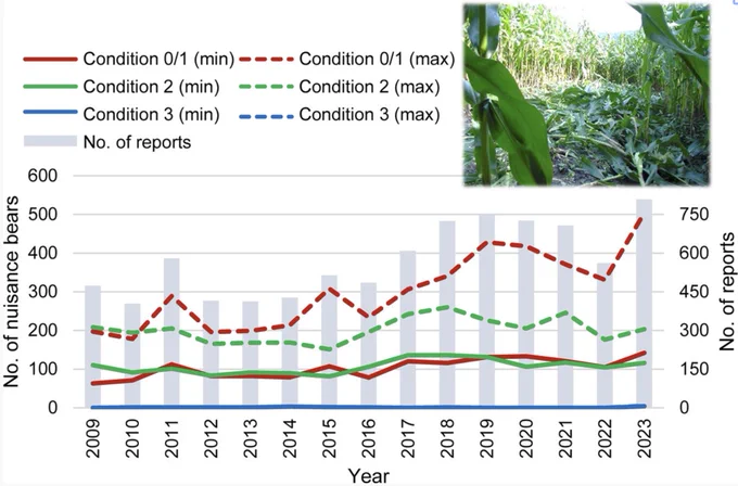 Graphical abstract: In this study, we aimed to estimate the number of nuisance bears based on damage and occurrence reports collected from 2009 to 2023 in the Oshima Peninsula, Hokkaido. For the estimation, we assessed the harmfulness level (from Condition 0 to 3) of the bears based on the details of the reports and developed a method to remove double or more overcounts of a bear derived from multiple reports on the same single bear. Estimating the number of nuisance individuals involved in conflict by setting a specific criterion provides a more valuable evaluation indicator for adaptive management than simply using the number of occurrences alone.