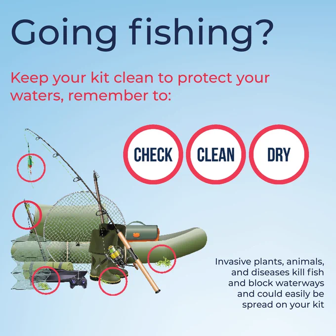 Cartoon of fishing kit with red rings highlighting where aquatic plants are attached