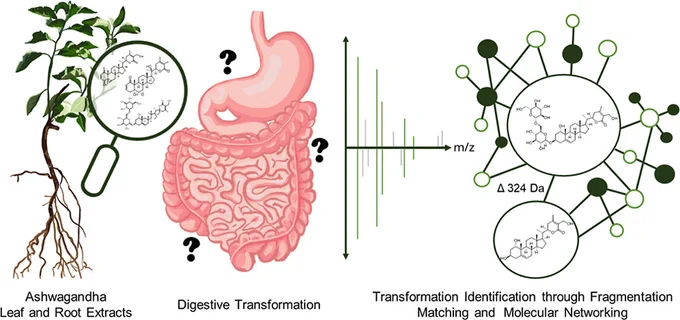 https://pubs.acs.org/doi/10.1021/acs.jafc.5c09897