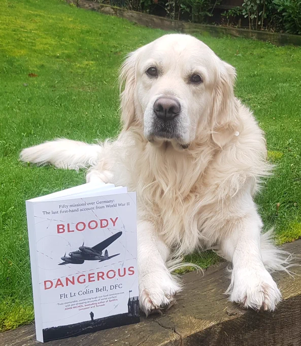 Ralph the golden retriever lying on the grass next to Colin's book